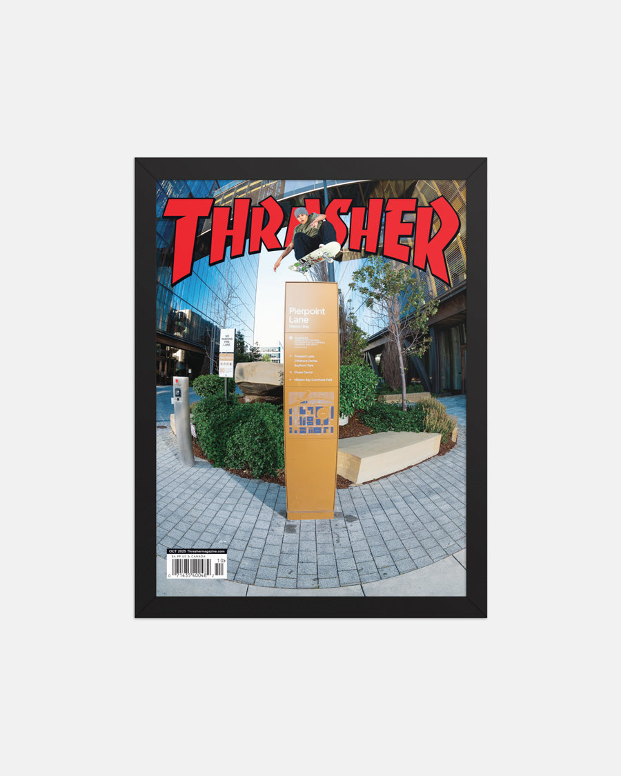超レア THRASHER THE FIRST 25 YEARS POSTER il_1080xN.5340181318_jqdd.jpg